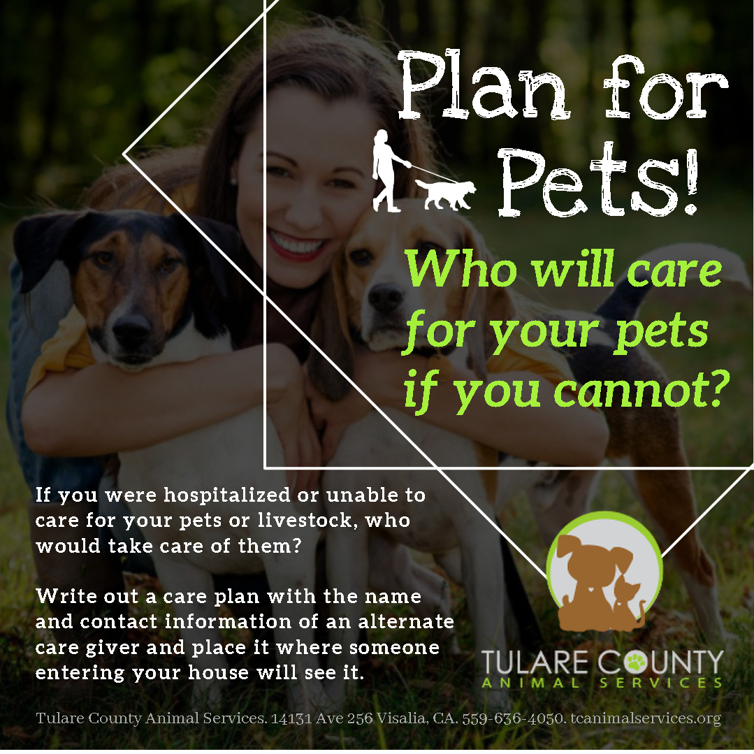 plan-for-pets-animal-services